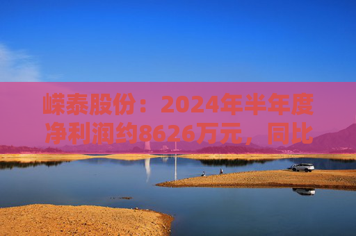 嵘泰股份：2024年半年度净利润约8626万元，同比增加18%