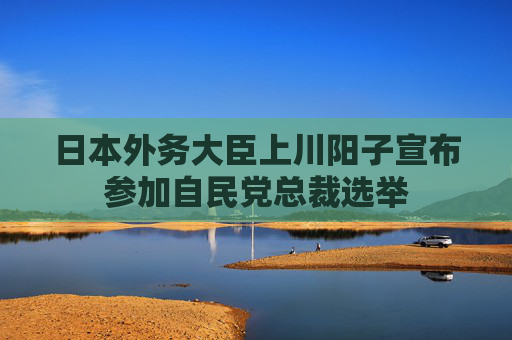 日本外务大臣上川阳子宣布参加自民党总裁选举