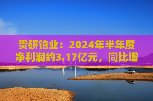 贵研铂业：2024年半年度净利润约3.17亿元，同比增加9.65%