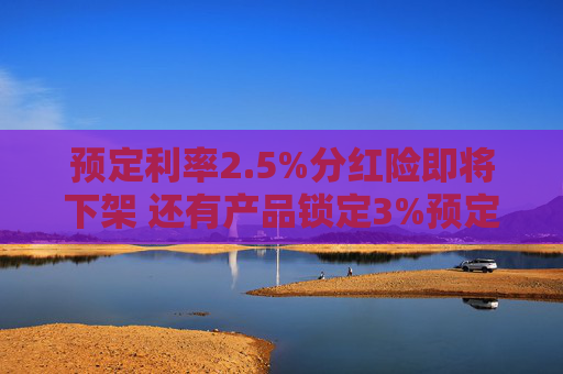 预定利率2.5%分红险即将下架 还有产品锁定3%预定利率？