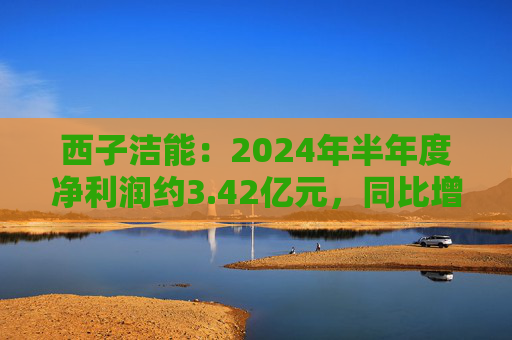 西子洁能：2024年半年度净利润约3.42亿元，同比增加1066.46%