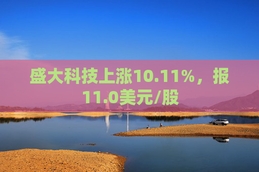 盛大科技上涨10.11%，报11.0美元/股