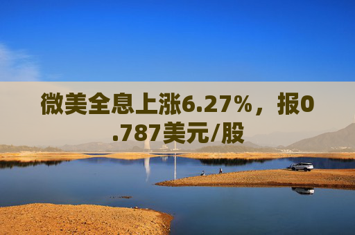 微美全息上涨6.27%，报0.787美元/股