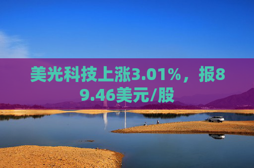 美光科技上涨3.01%，报89.46美元/股