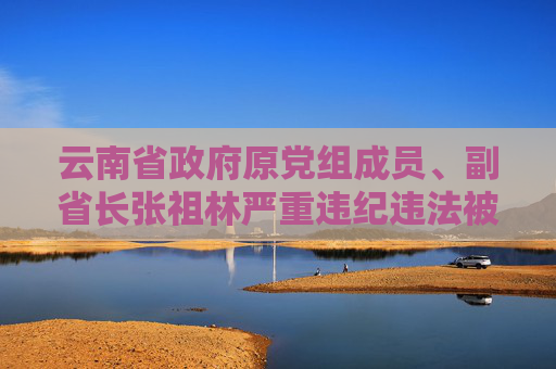 云南省政府原党组成员、副省长张祖林严重违纪违法被开除党籍