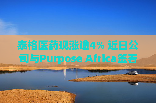 泰格医药现涨逾4% 近日公司与Purpose Africa签署合作备忘录