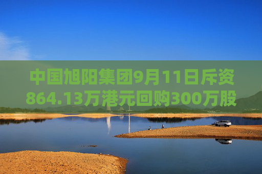 中国旭阳集团9月11日斥资864.13万港元回购300万股