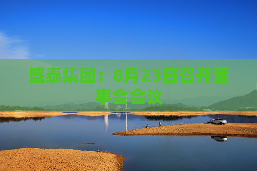 盛泰集团：8月23日召开董事会会议