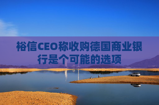 裕信CEO称收购德国商业银行是个可能的选项