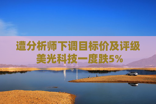 遭分析师下调目标价及评级 美光科技一度跌5%