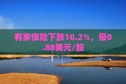 有家保险下跌10.2%，报0.88美元/股