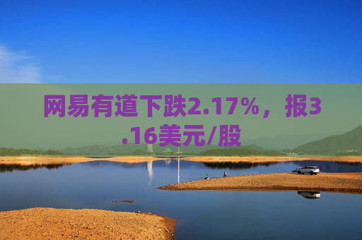 网易有道下跌2.17%，报3.16美元/股