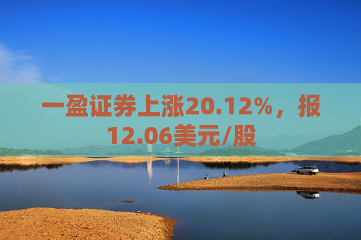 一盈证券上涨20.12%，报12.06美元/股