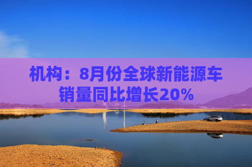 机构：8月份全球新能源车销量同比增长20%