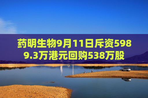 药明生物9月11日斥资5989.3万港元回购538万股