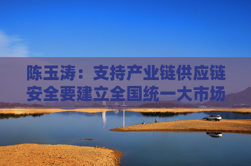 陈玉涛：支持产业链供应链安全要建立全国统一大市场，实现国内国际双循环