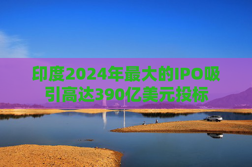 印度2024年最大的IPO吸引高达390亿美元投标