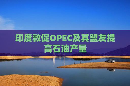 印度敦促OPEC及其盟友提高石油产量