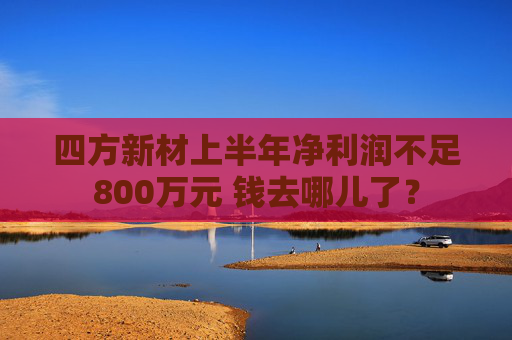 四方新材上半年净利润不足800万元 钱去哪儿了？