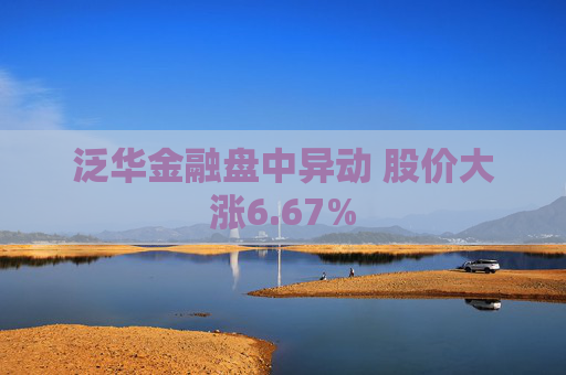 泛华金融盘中异动 股价大涨6.67%