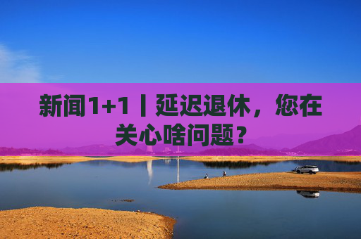 新闻1+1丨延迟退休，您在关心啥问题？