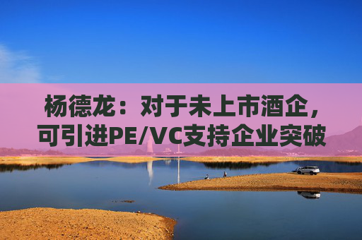 杨德龙：对于未上市酒企，可引进PE/VC支持企业突破难关