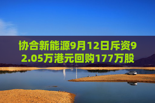 协合新能源9月12日斥资92.05万港元回购177万股