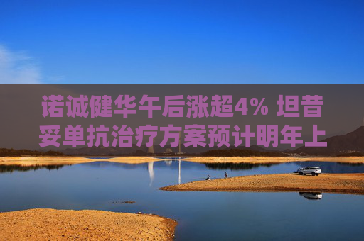 诺诚健华午后涨超4% 坦昔妥单抗治疗方案预计明年上市