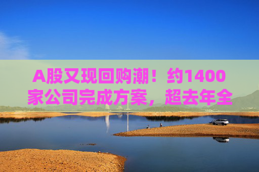 A股又现回购潮！约1400家公司完成方案，超去年全年！