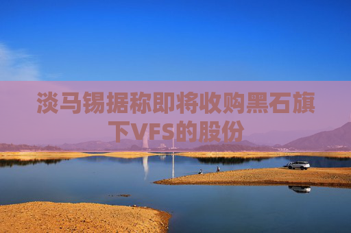 淡马锡据称即将收购黑石旗下VFS的股份