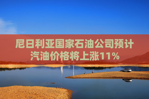 尼日利亚国家石油公司预计汽油价格将上涨11%