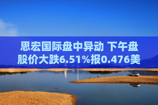 思宏国际盘中异动 下午盘股价大跌6.51%报0.476美元