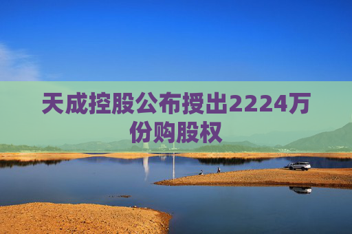 天成控股公布授出2224万份购股权