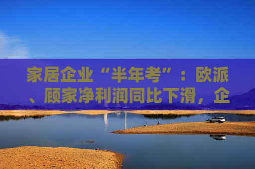 家居企业“半年考”：欧派、顾家净利润同比下滑，企业寻求海外市场突破