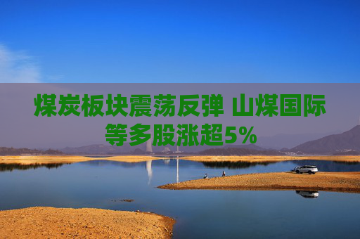 煤炭板块震荡反弹 山煤国际等多股涨超5%