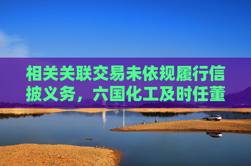 相关关联交易未依规履行信披义务，六国化工及时任董秘邢金俄遭上交所监管警示