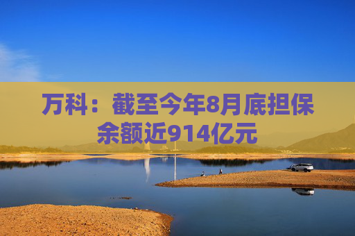 万科：截至今年8月底担保余额近914亿元