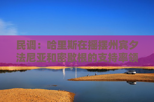 民调：哈里斯在摇摆州宾夕法尼亚和密歇根的支持率领先特朗普