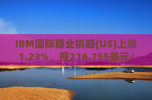 IBM国际商业机器(US)上涨1.23%，报216.755美元/股