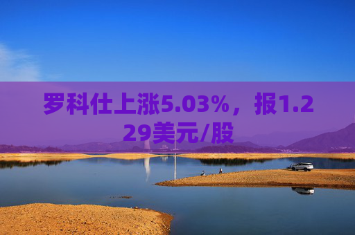 罗科仕上涨5.03%，报1.229美元/股