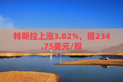 特斯拉上涨3.02%，报234.75美元/股