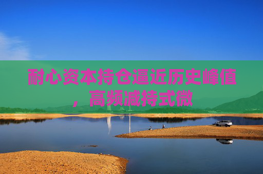 耐心资本持仓逼近历史峰值，高频减持式微