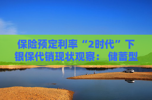 保险预定利率“2时代”下银保代销现状观察： 储蓄型保险依旧占据“C位” 分红险成理财新宠