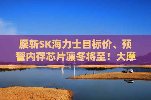 腰斩SK海力士目标价、预警内存芯片凛冬将至！大摩悲观研报引来反对声阵阵