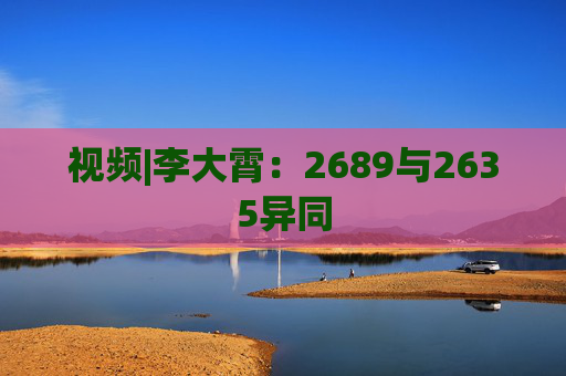 视频|李大霄：2689与2635异同