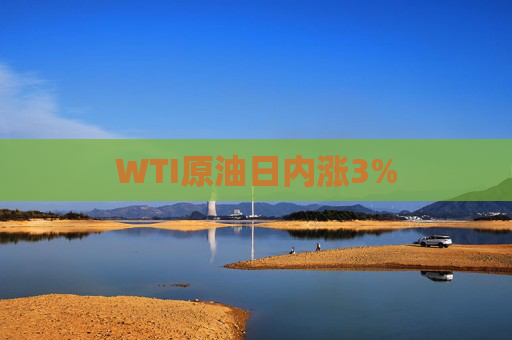 WTI原油日内涨3%