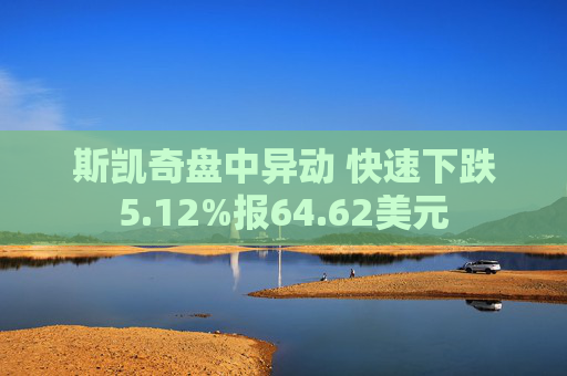 斯凯奇盘中异动 快速下跌5.12%报64.62美元