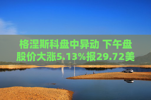 格涅斯科盘中异动 下午盘股价大涨5.13%报29.72美元