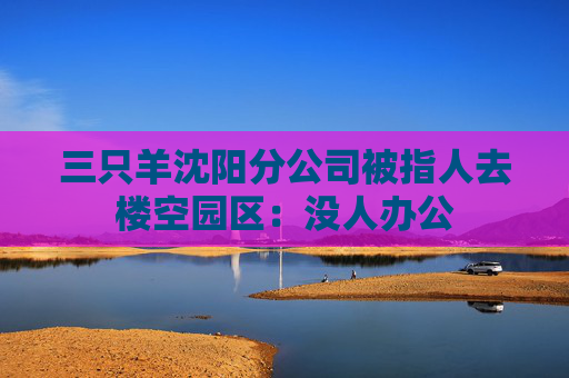 三只羊沈阳分公司被指人去楼空园区：没人办公