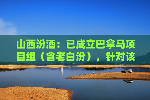 山西汾酒：已成立巴拿马项目组（含老白汾），针对该产品进行专业运营